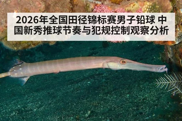 2026年全国田径锦标赛男子铅球 中国新秀推球节奏与犯规控制观察分析